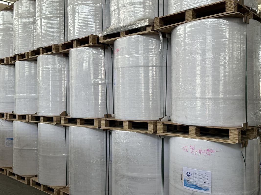 Single Layer Customized Jumbo Thermal Paper Roll For Cash Register Printing Needs