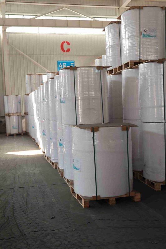 BPA-Free Thermal Paper Roll for POS Receipts, ATM printer paper, oil-resistant thermal roll – 5+ Year Image Life