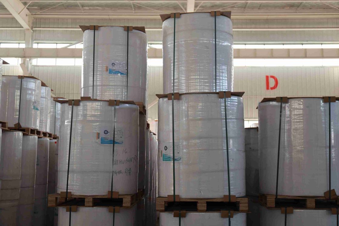 100% Imported Virgin Wood Pulp BPA Free Thermal Paper High Smoothness Strong Tension Long Imaging Life