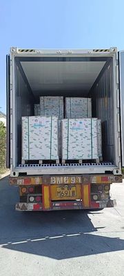 NCR-Kopienpapier der Klasse A Kleines Schwarz/Blau Bild 50/55/75GSM Kohlenstofffreies Papier