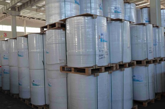 100% importiertes, jungfräuliches Holzzellstoff BPA-freies Thermopapier Hohe Glätte Starke Zugfestigkeit Lange Bildlebensdauer