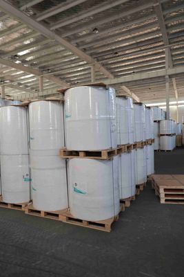 BPA-freie thermische Papierrolle für POS-Bestätigungen, Geldautomaten-Druckerpapier, ölbeständige thermische Papierrolle