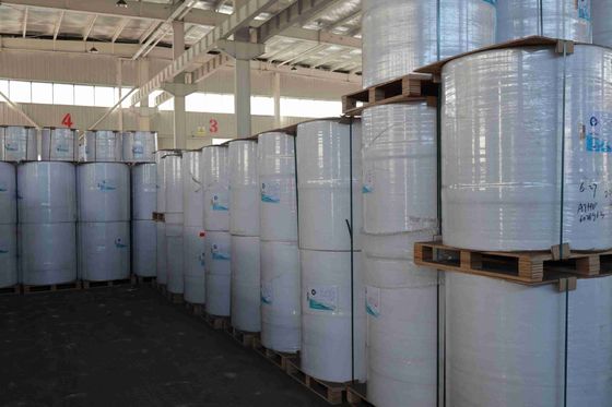 BPA-freie Fokusmarke Thermalpapier hohe Glatzheit geeignete optische Dichte 100% importierte Holzzzellstoff