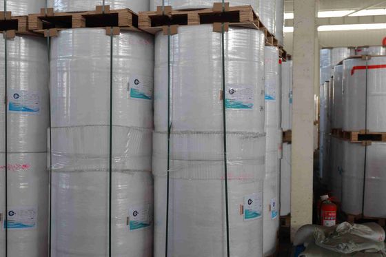 BPA-Free Thermal Paper Roll for POS Receipts – 5+ Year Image Life